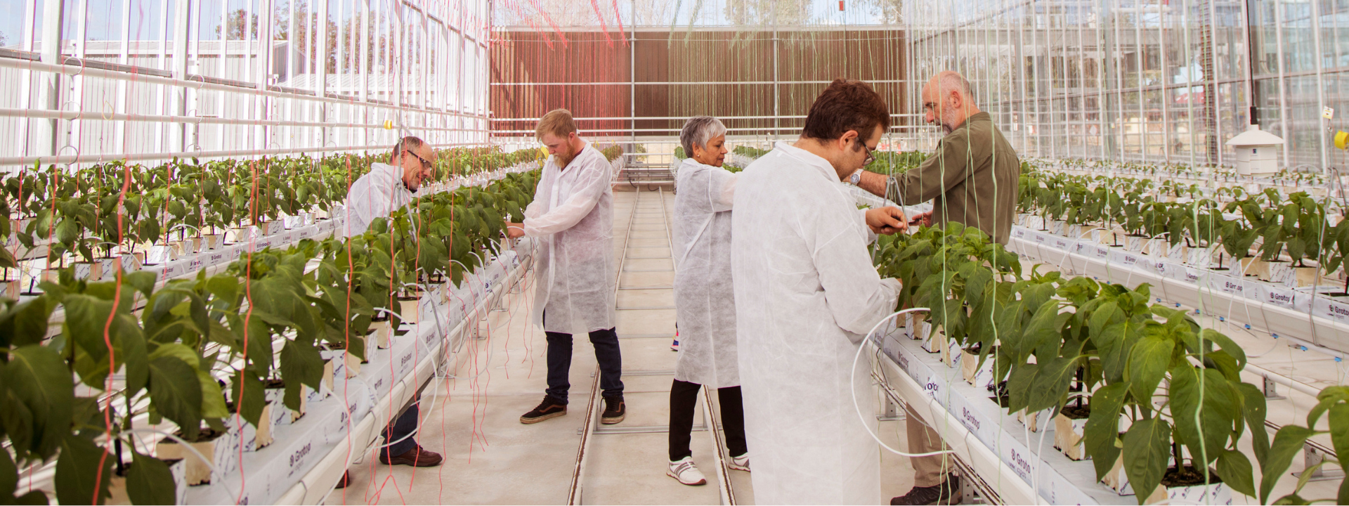 Foundations of Environmental Sustainability Microcredential