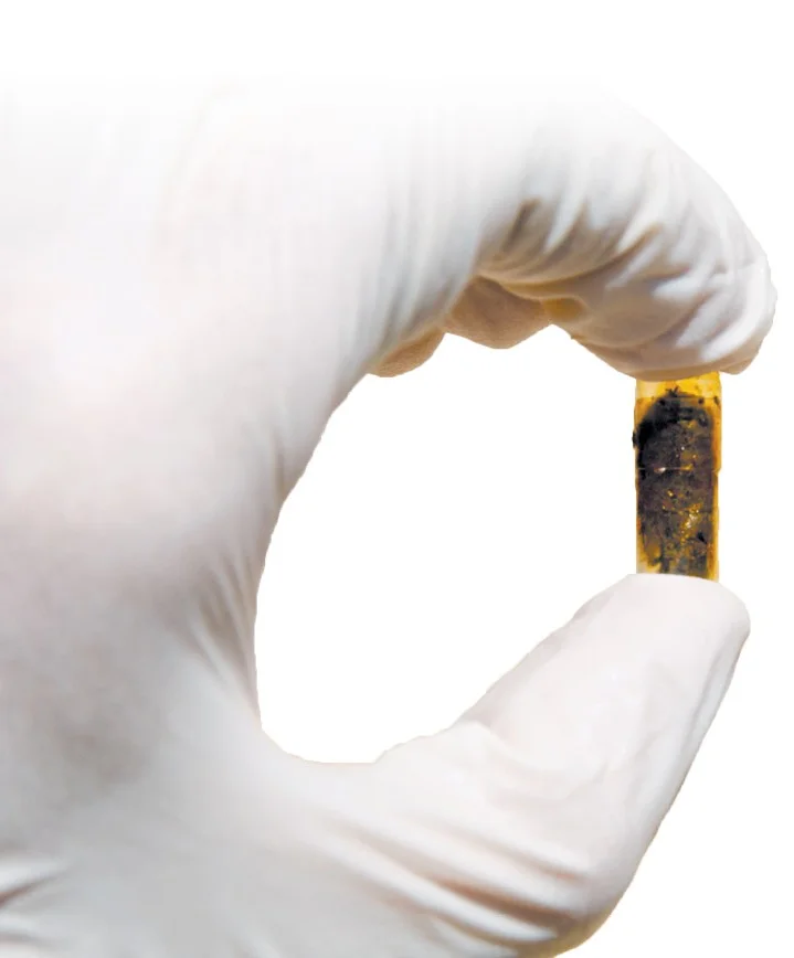 Koala poo pill