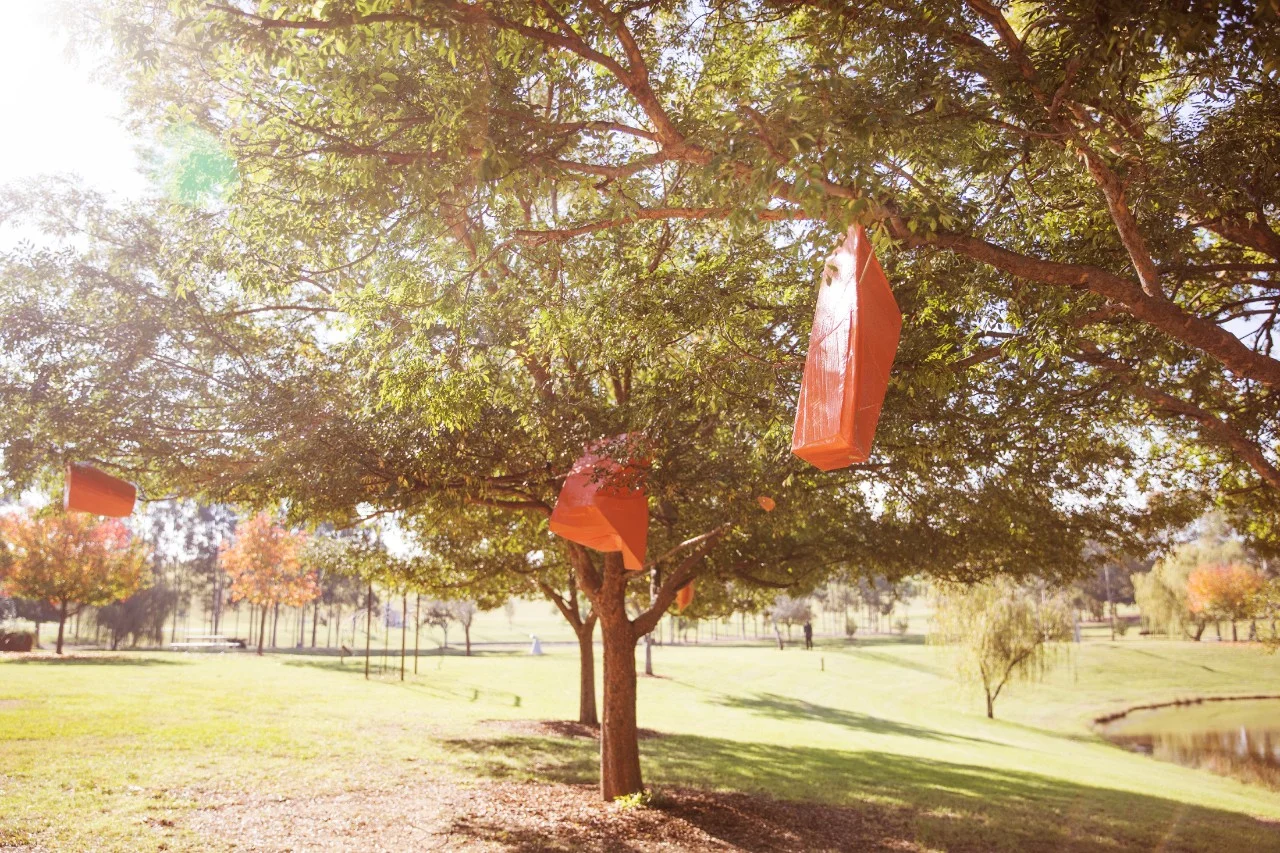 Akira Kamada The Odd Bunch