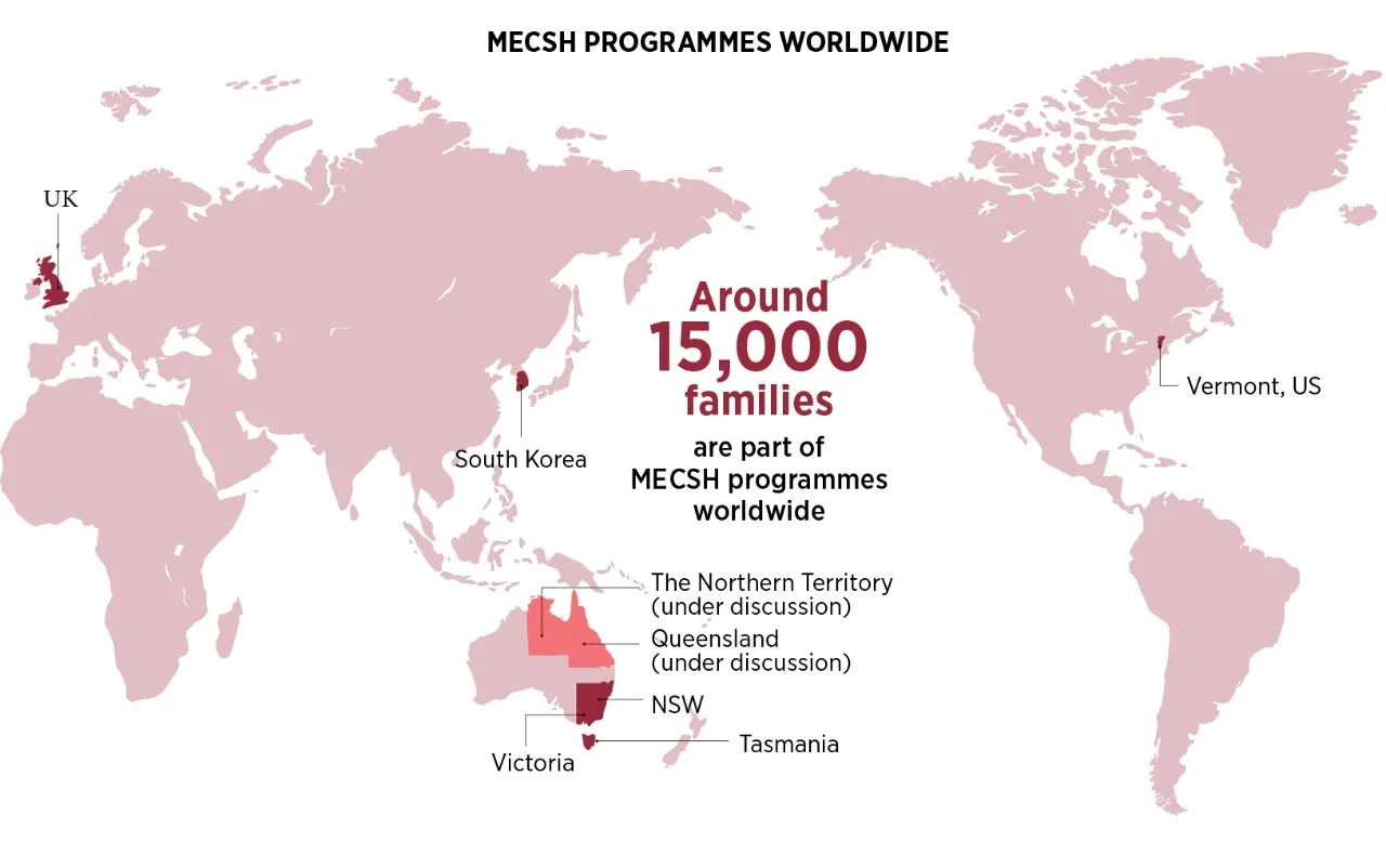 MESCH in numbers