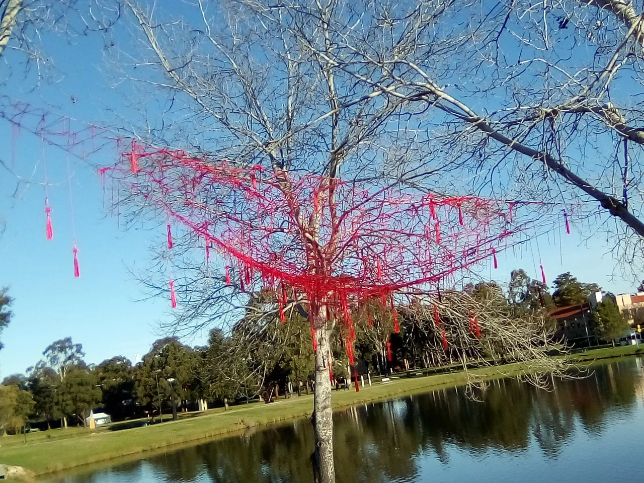 Jayanto Tan - Ritual Weaved The Ancestor