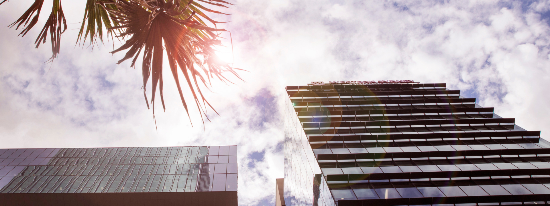 Built Environment Degrees