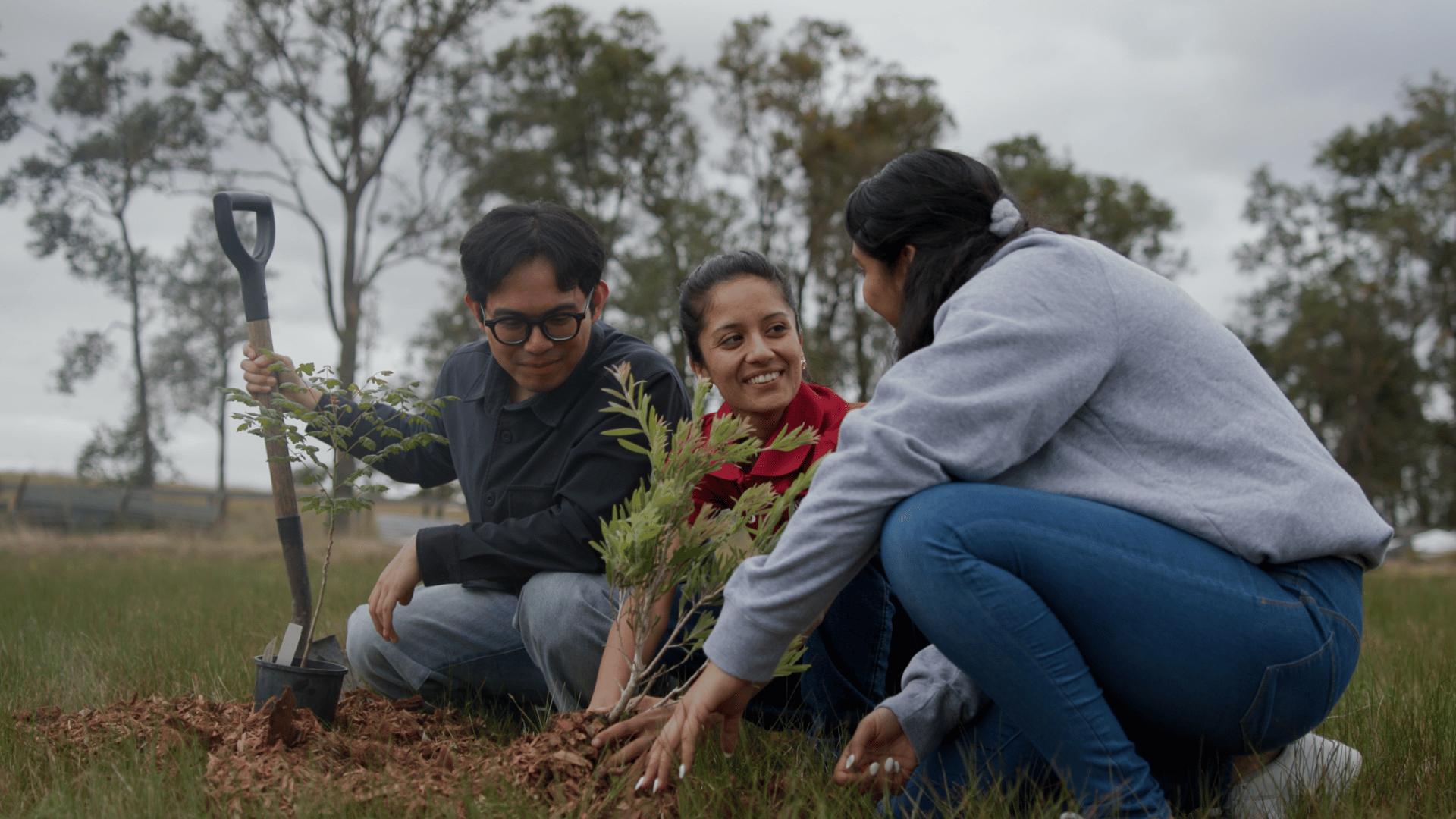 International Sustainable Development Goals,International Sustainable Development Goals