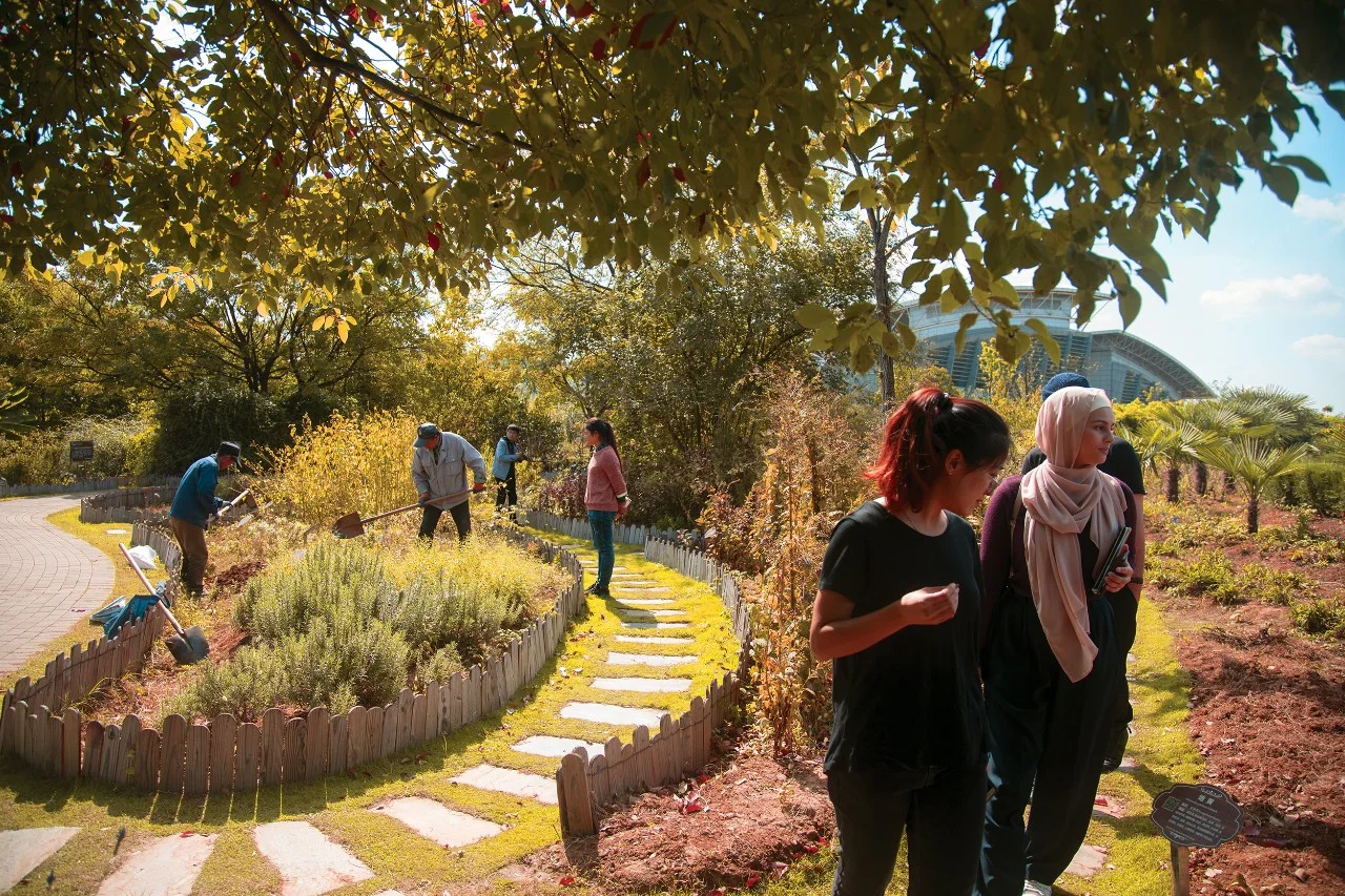 Students outdoors in a community garden
