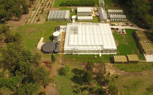 Greenhouse aerial shot