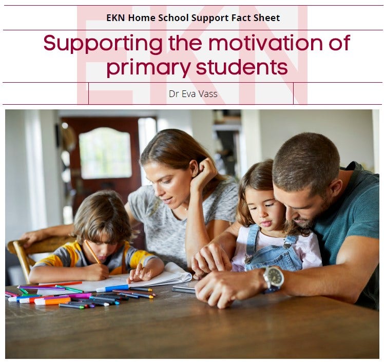 Supporting Motivation of Primary Children