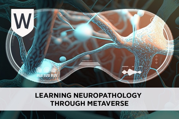 Learning Neuropathology Through Metaverse