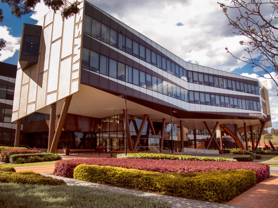 Lens cell transplantation to treat childhood cataract