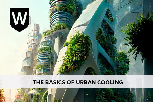 The Basics of Urban Cooling