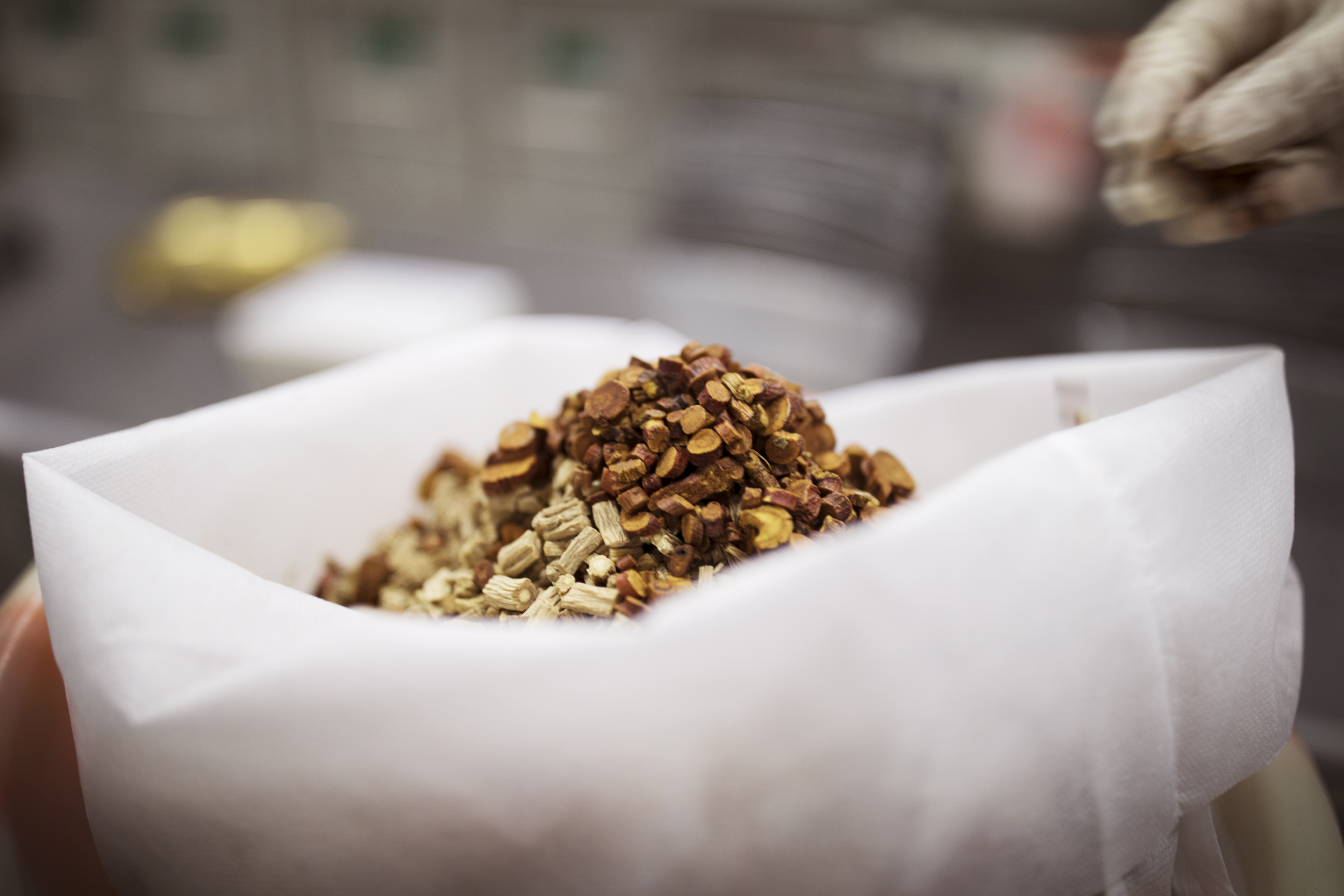 Chinese Medicinal Herb Horticulture Project Western Sydney University