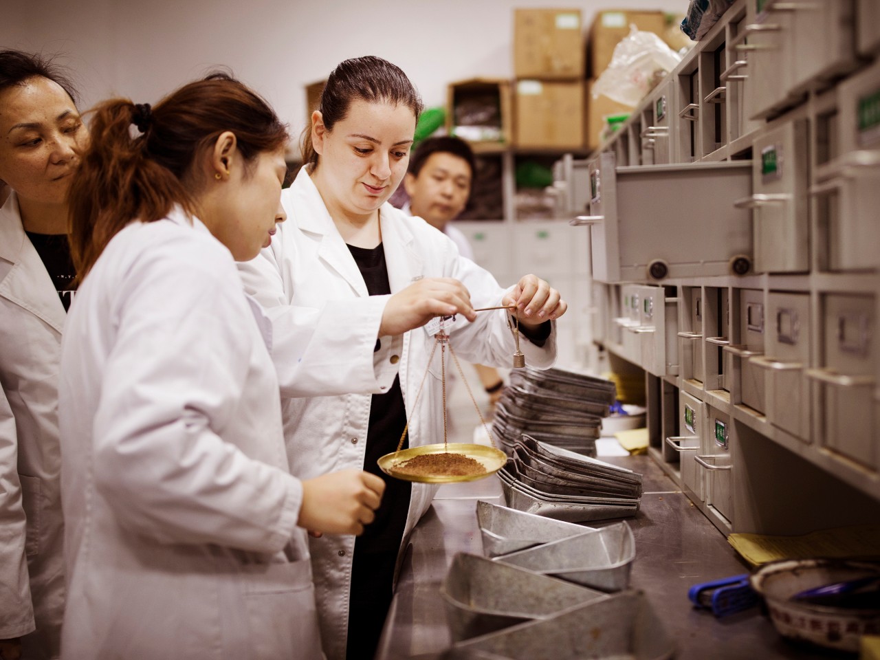 Chinese Medicine Centre Western Sydney University