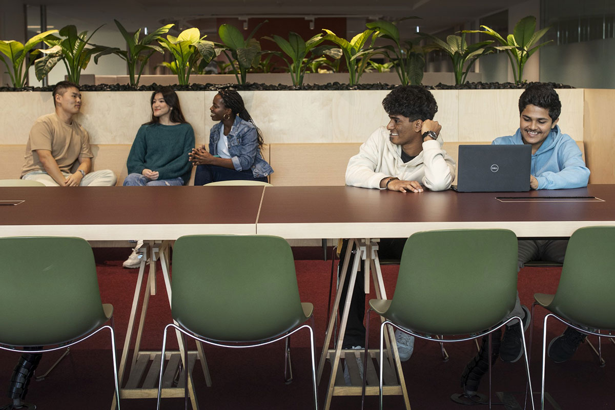 College Success Coaches