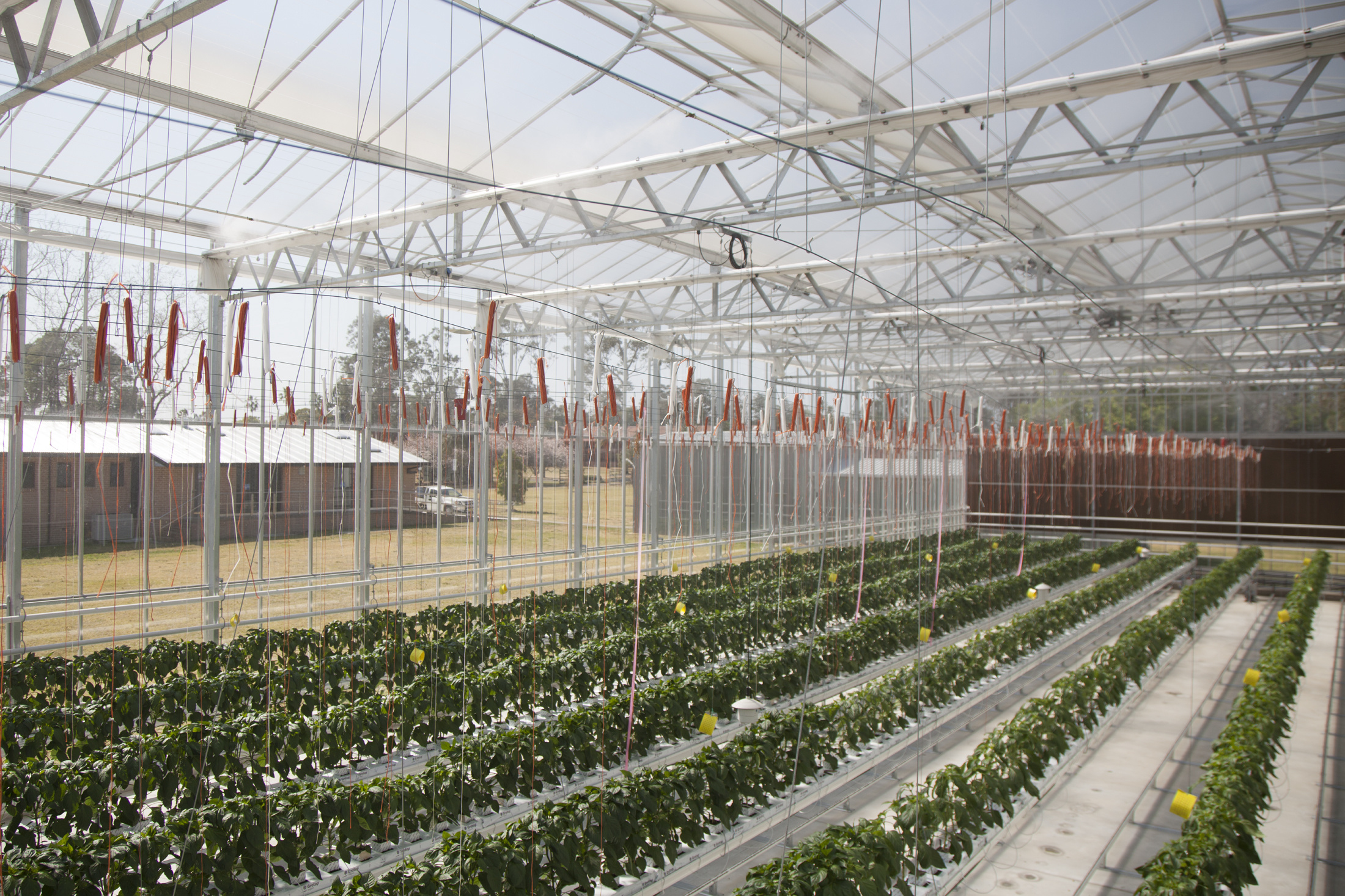 The Greenhouse facilitates food security research to help create more efficient crop production and efficient operations.