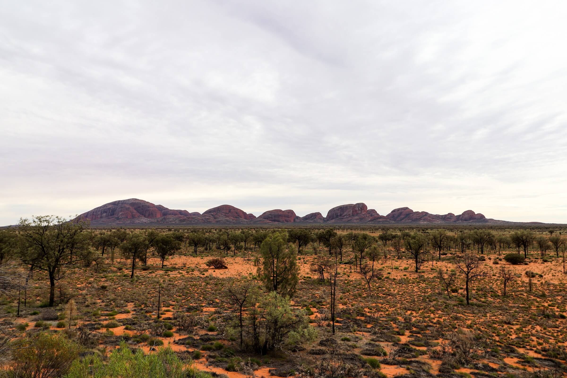 A desert landscape in the Northern Territory in Australia
