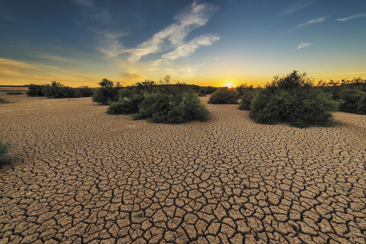 Regional models are critical in gaining an accurate picture of terrestrial carbon sinks.
