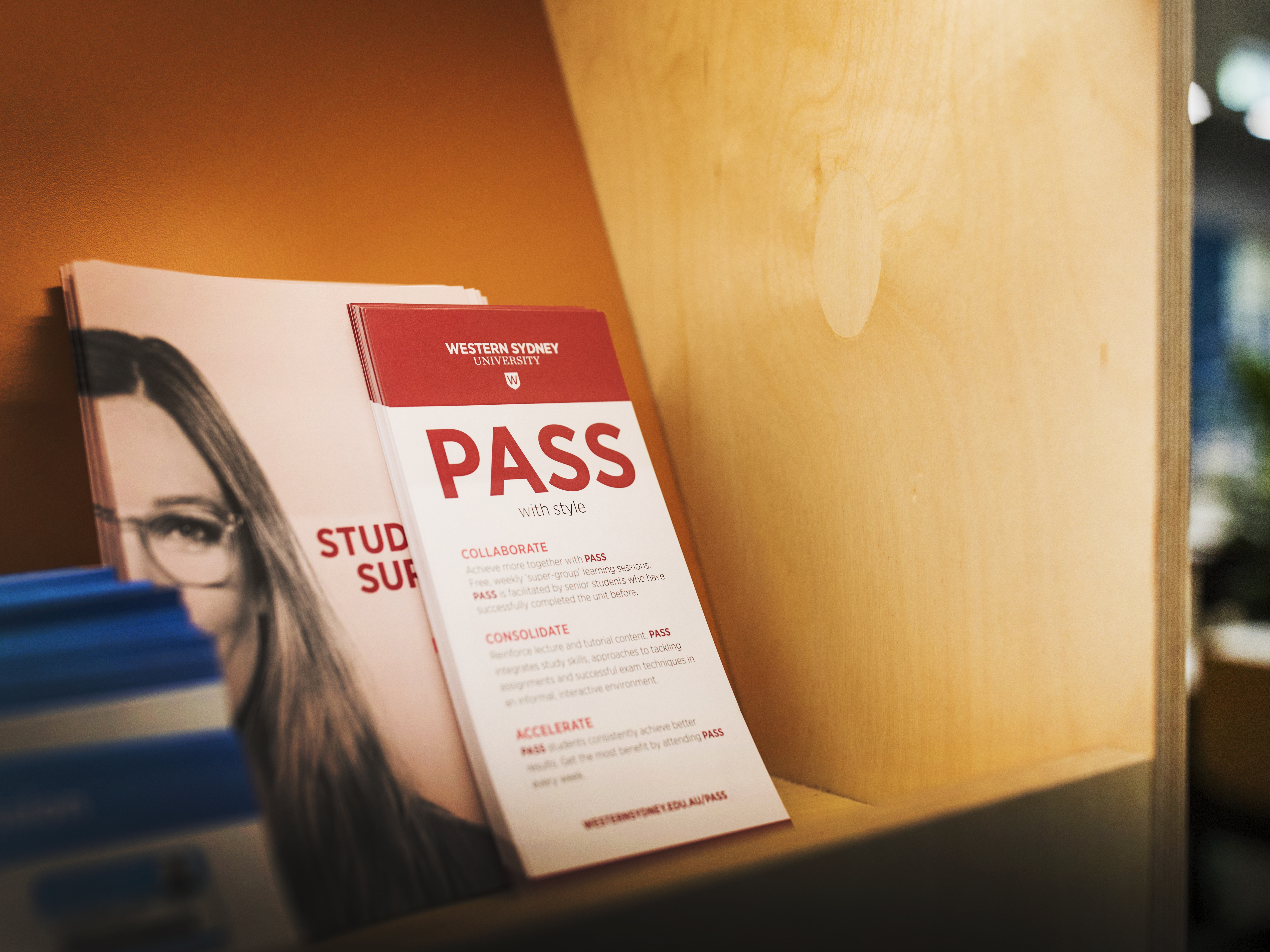Peer-Assisted Study Sessions (PASS)
