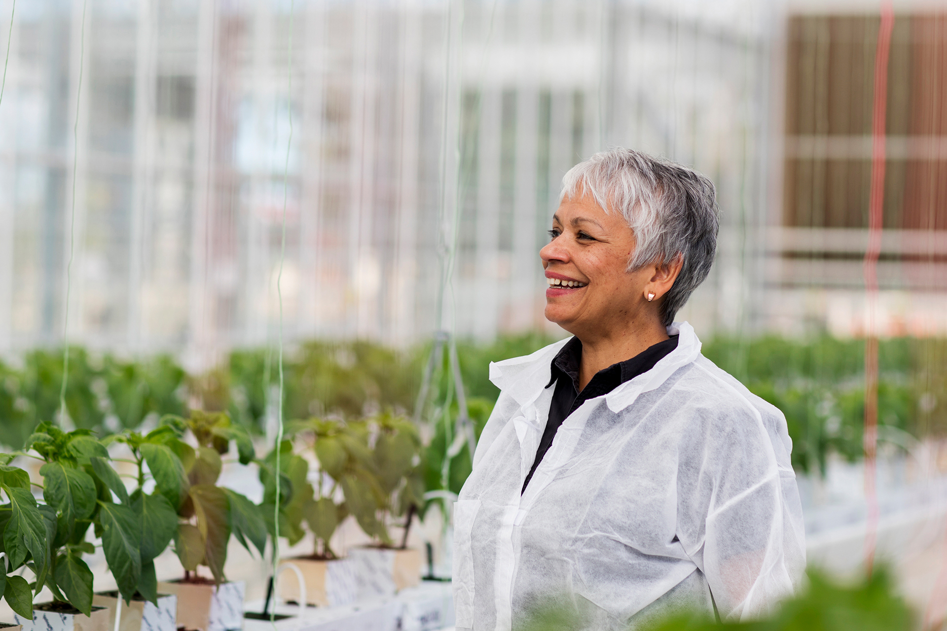 Female researcher in the greenhouse facility at Hawkesbury campus