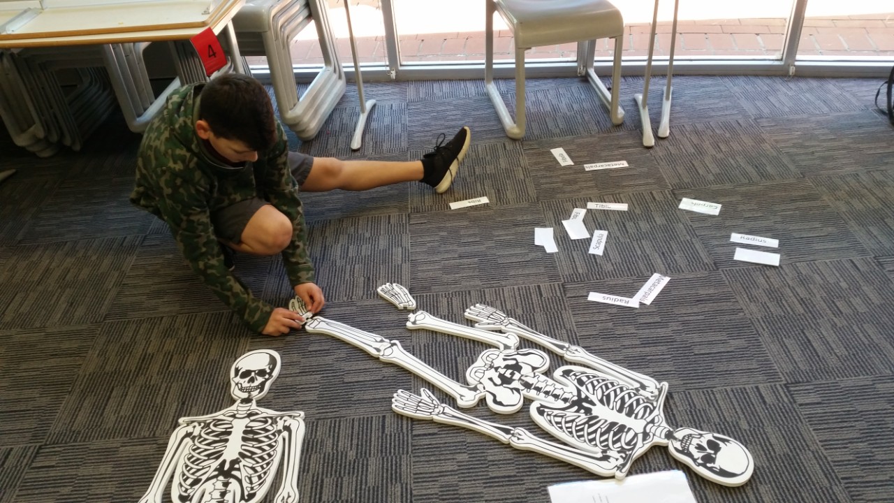 First Foot Forward Western Sydney University