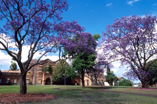 Bachelor Of Architectural Design Western Sydney University