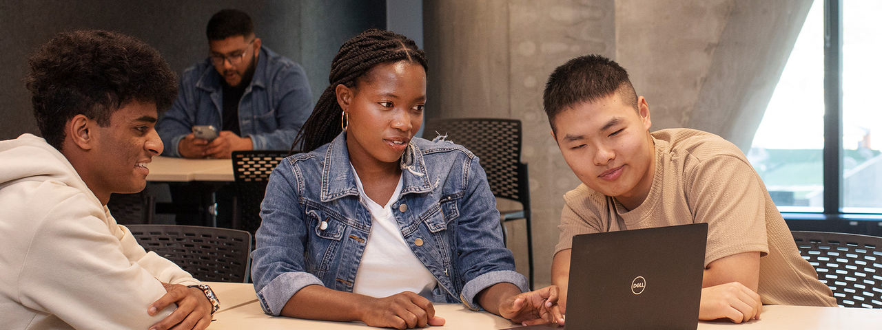 Diploma in Business Online