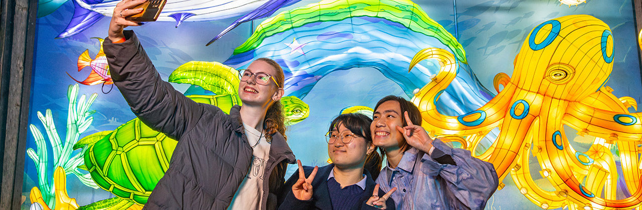 Bachelor of Design image