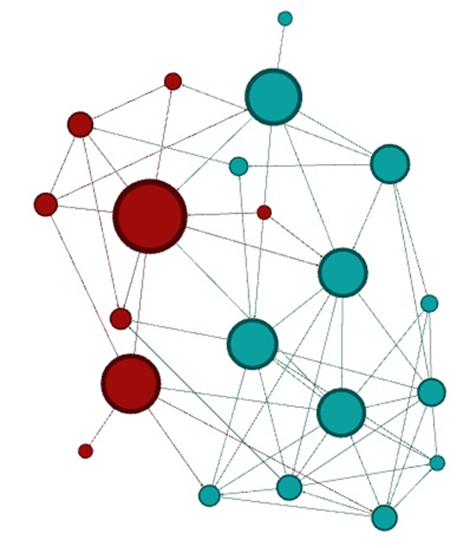 Palmerston Island Social Network