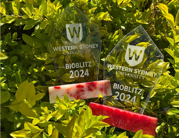 Trophy bases made from recycled 3D printing waste