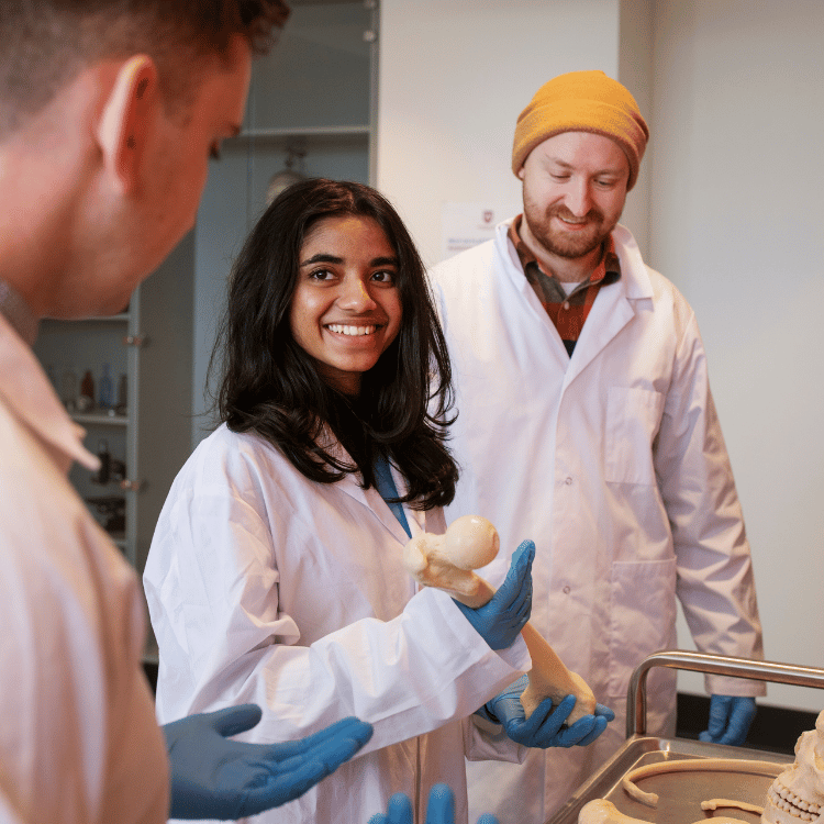 School of Medicine thumbnail of students in the lab.