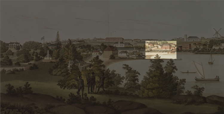 FOS from a distance 2.jpg