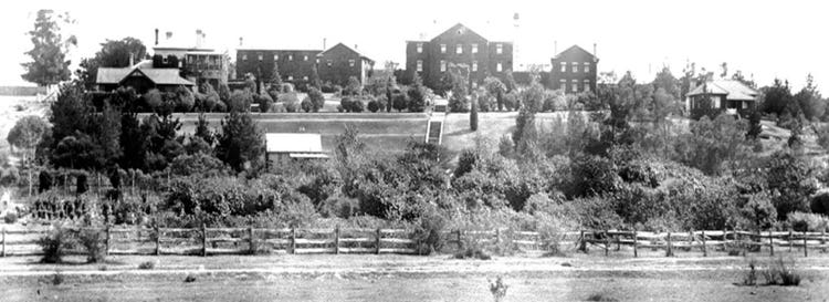 Rydalmere Psychiatric Hospital, around 1900 from Camelia on southern side of river