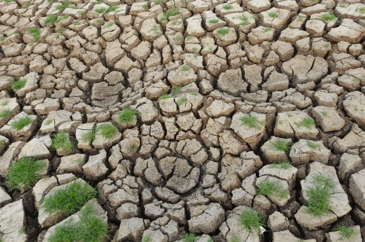 how-to-talk-about-climate-change-thn.png
