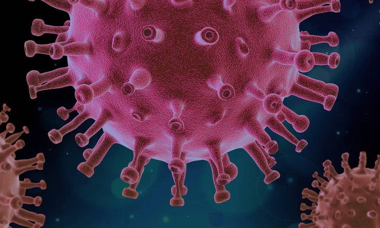 COVID-19 virus