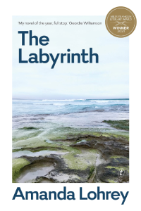 The Labyrinth book cover