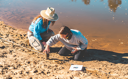 Collecting sediment samples on Windsor beach