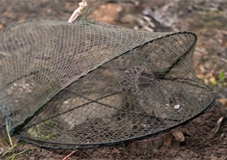 Photo of abandoned opera house trap