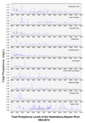 Total Phosphorus graph