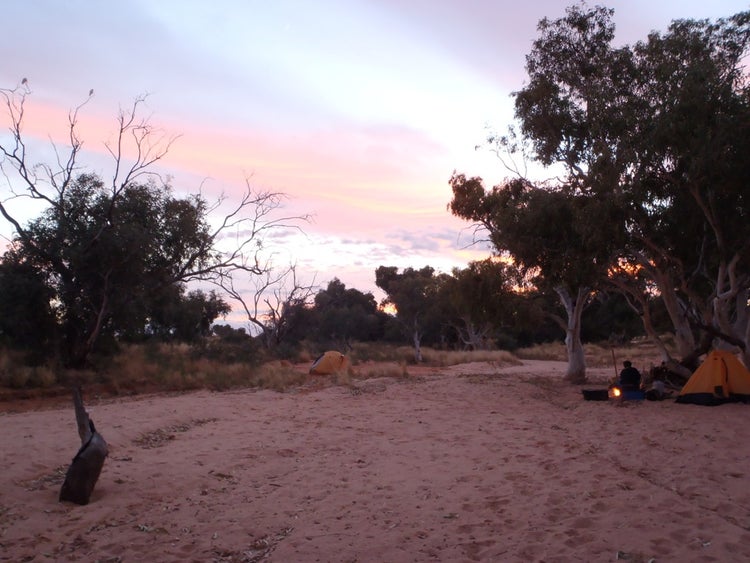 Bush Camp at Quinyambie Study Area