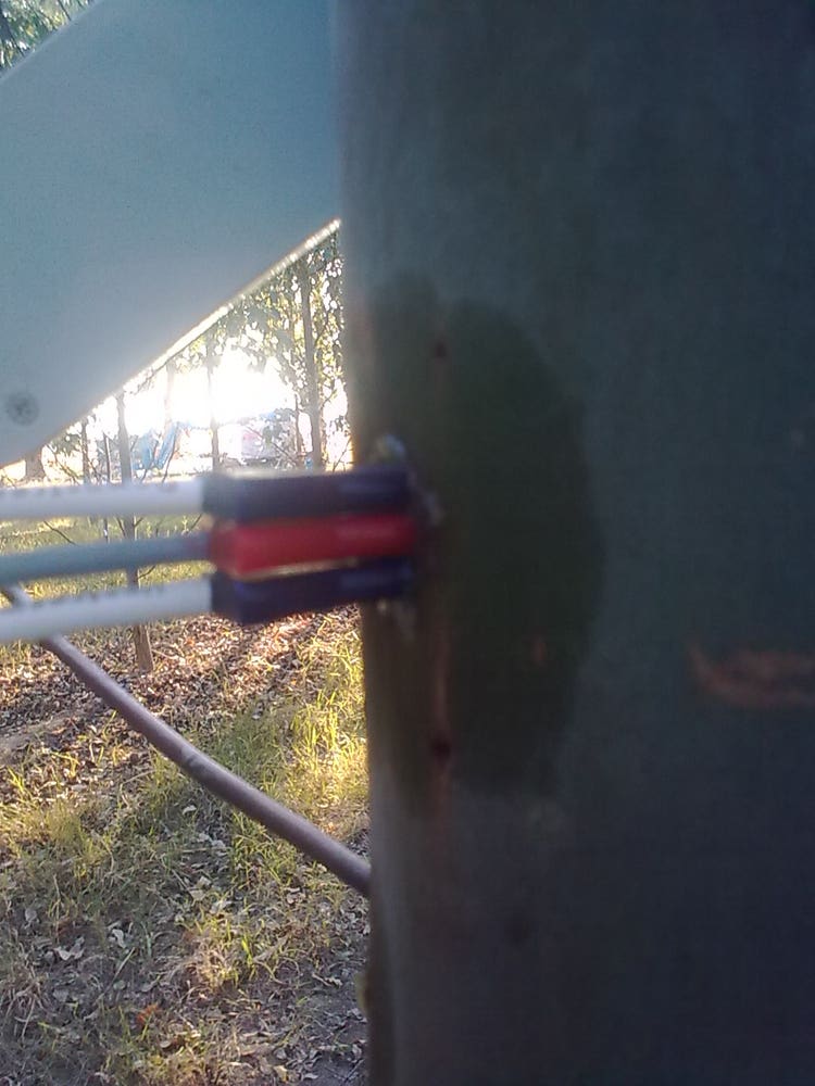 HRM sapflow probe in Euc tree