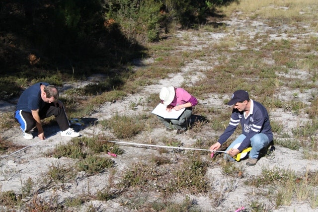 Tomaree National Park