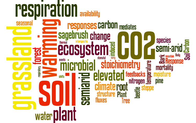 Prof Elise Pendall's research topics