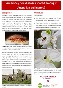 Bee diseases factsheet