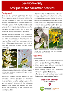 Bee biodiversity factsheet