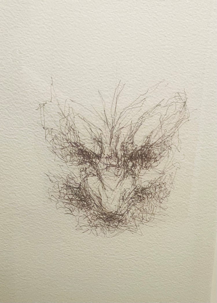 Untitled by Vernon Ah Kee