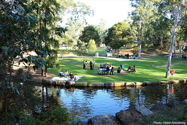 Park with pond and trees, Central Gardens Nature Reserve, Merrylands West.