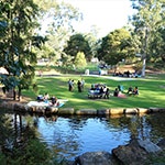 Park with pond and trees, Central Gardens Nature Reserve.