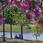 cooling_commons_thumbnail