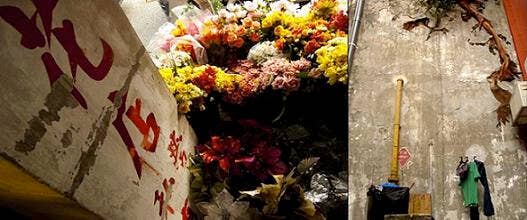 A collage with red asian text and flowers