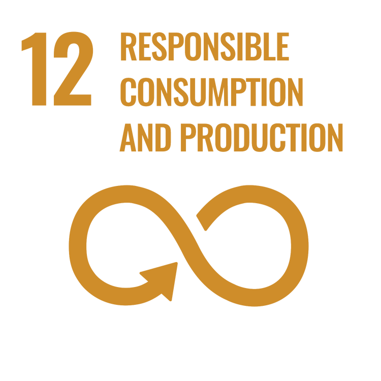 SDG Responsible Consumption and Production