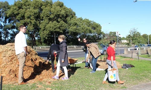 James Ruse Climate Forest