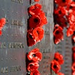 Red poppies on an ANZAC memorial.